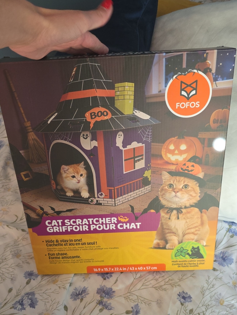 Halloween Cat Scratcher House
